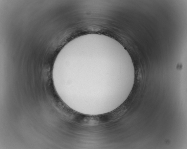X0000113740559200910211127