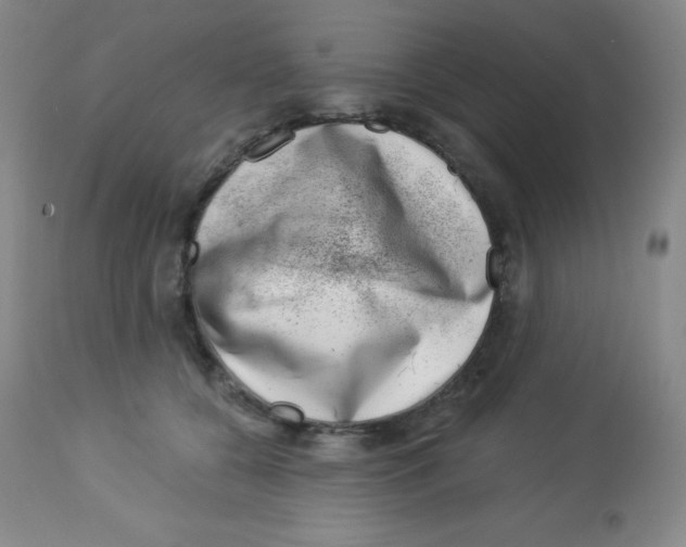 X0000113740560200910211127