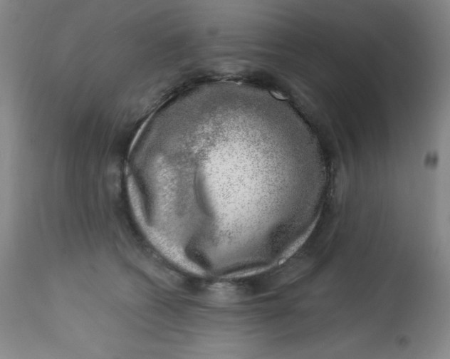 X0000113740562200910211127