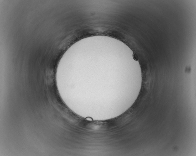 X0000113740563200910211127