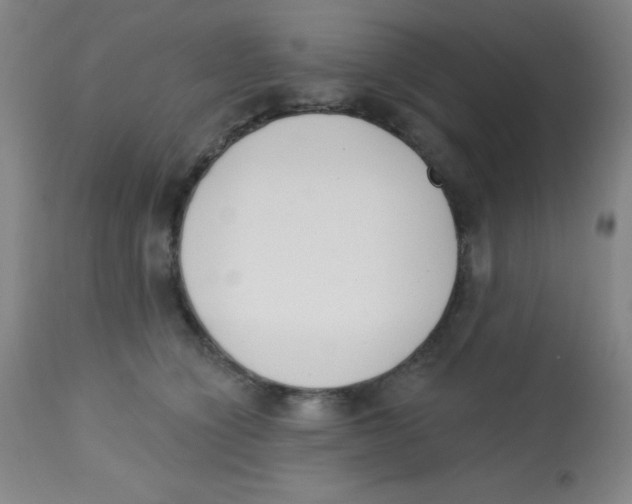 X0000113740564200910211127
