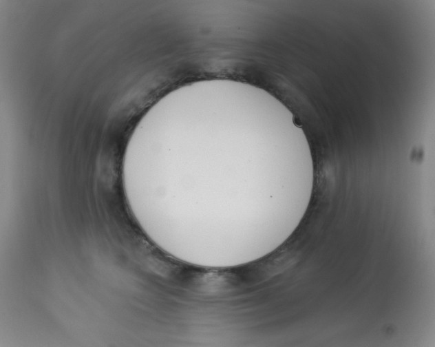 X0000113740566200910211127