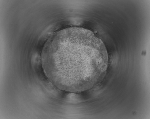X0000113740568200910211127