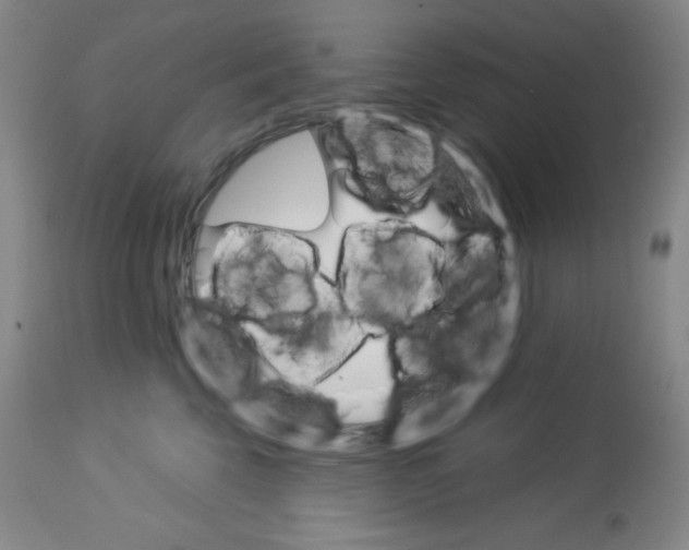X0000113740569200910211127