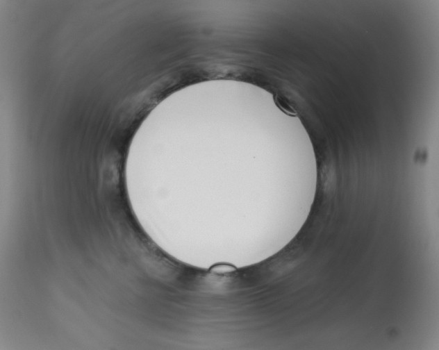 X0000113740570200910211127