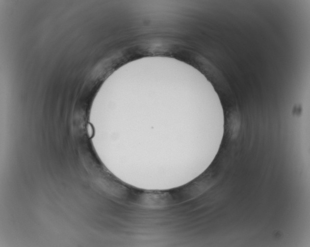 X0000113740571200910211127