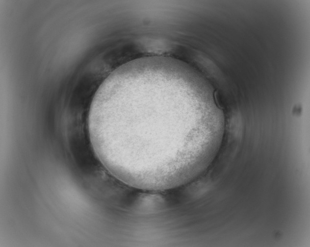 X0000113740572200910211127