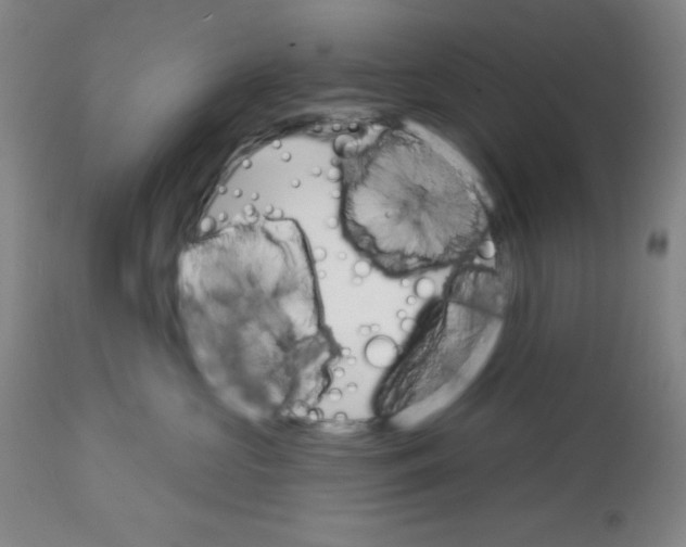 X0000113740573200910211127