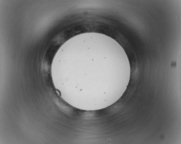X0000113740574200910211127