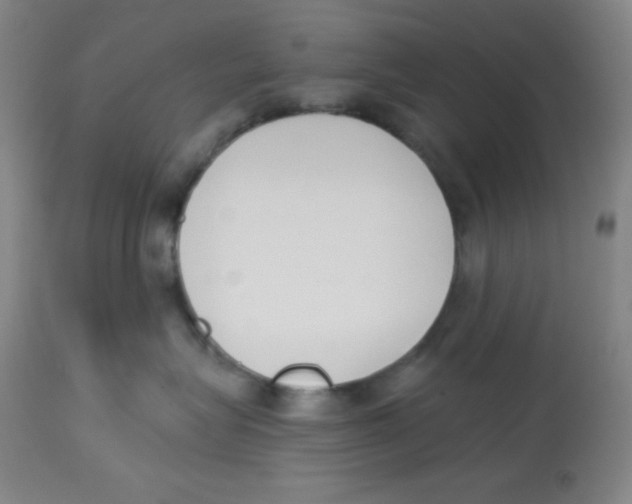 X0000113740575200910211127