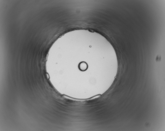 X0000113740576200910211127