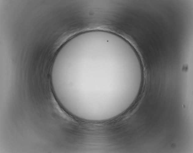 X0000113740577200910211126