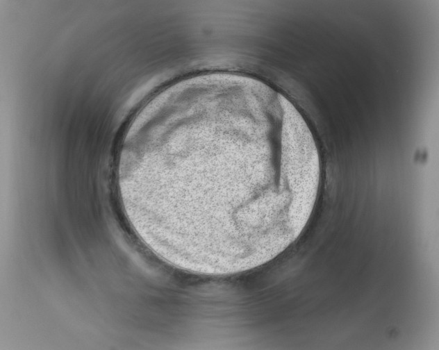 X0000113740578200910211126