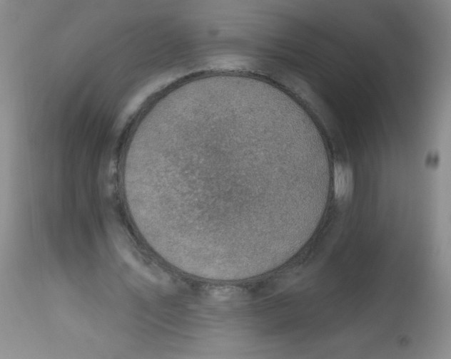 X0000113740579200910211126