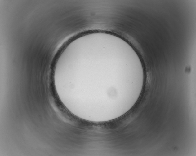 X0000113740580200910211126