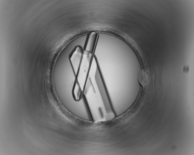 X0000113740581200910211126