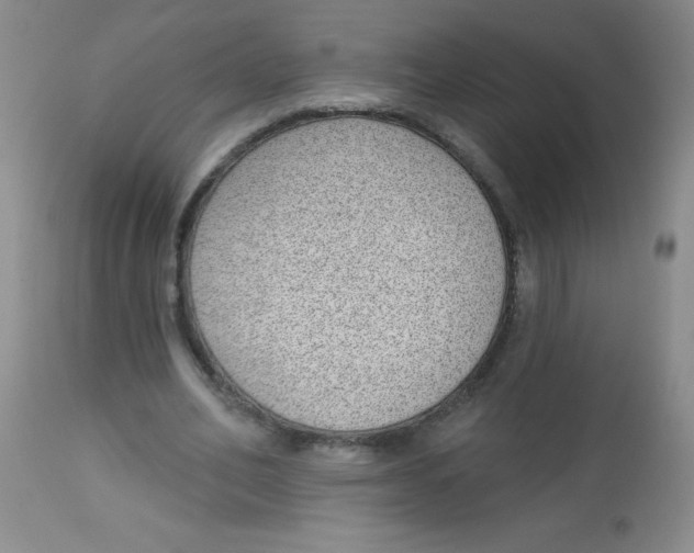X0000113740582200910211126
