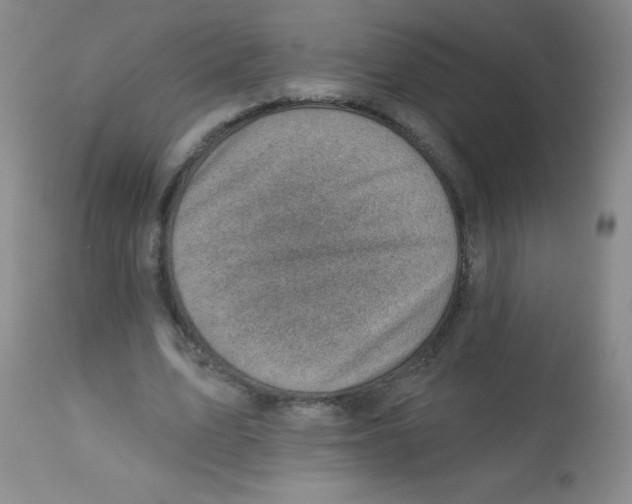 X0000113740583200910211126