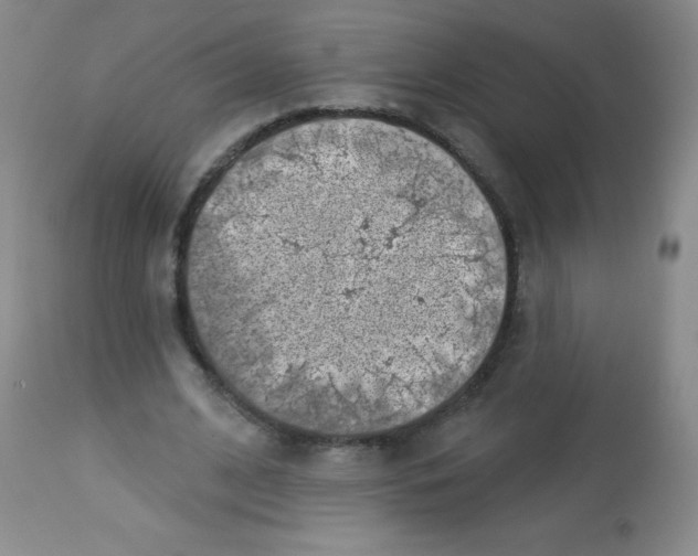 X0000113740584200910211126