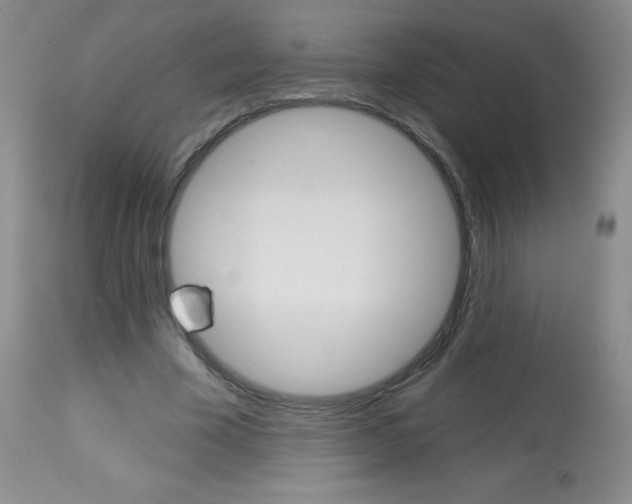 X0000113740585200910211126