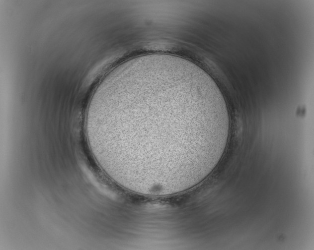 X0000113740586200910211126