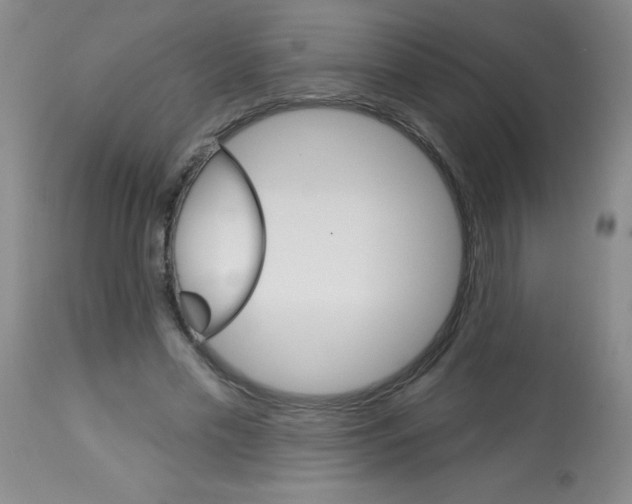 X0000113740589200910211126
