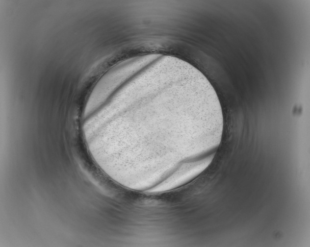 X0000113740590200910211126