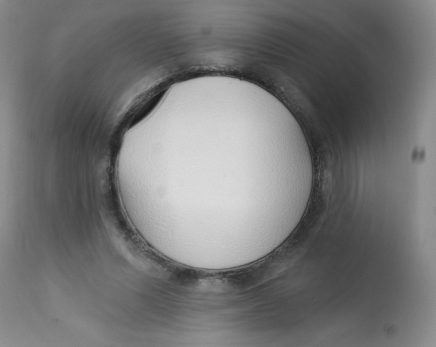 X0000113740591200910211126