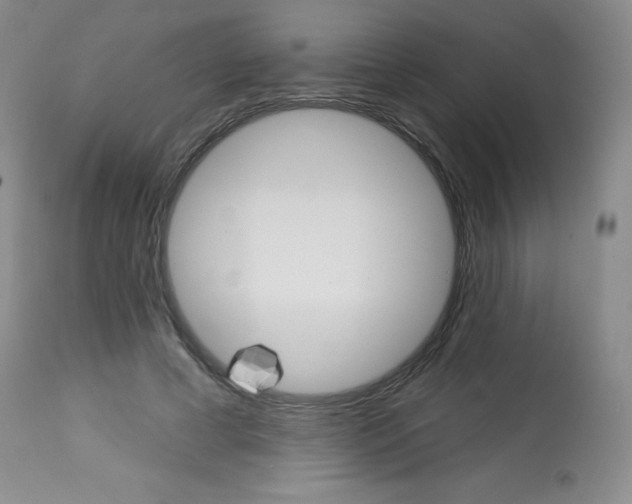 X0000113740593200910211126