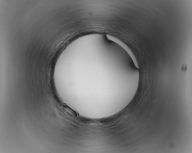 X0000113740595200910211126