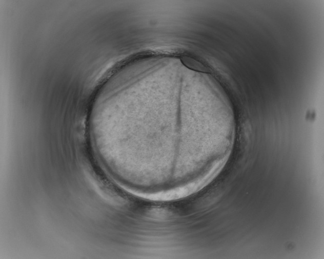 X0000113740596200910211126
