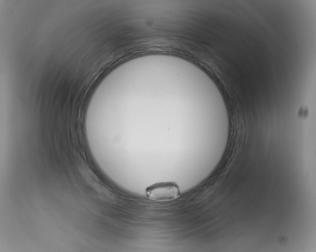 X0000113740597200910211126