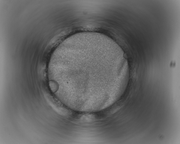 X0000113740599200910211126