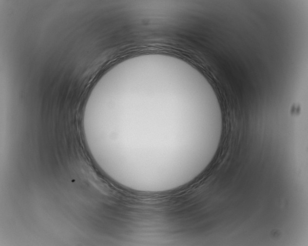 X0000113740601200910211126