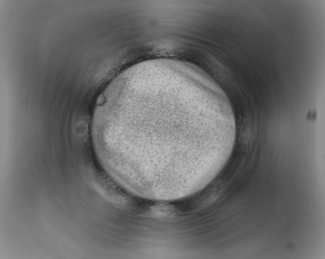 X0000113740603200910211126