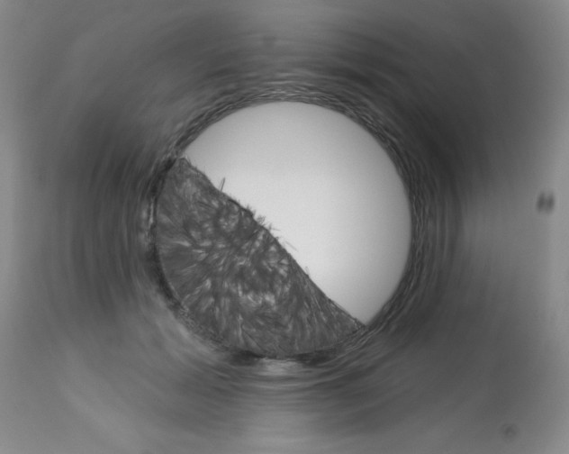 X0000113740605200910211126
