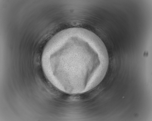 X0000113740606200910211126