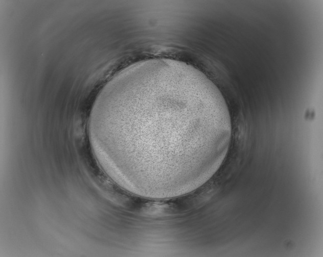 X0000113740607200910211126