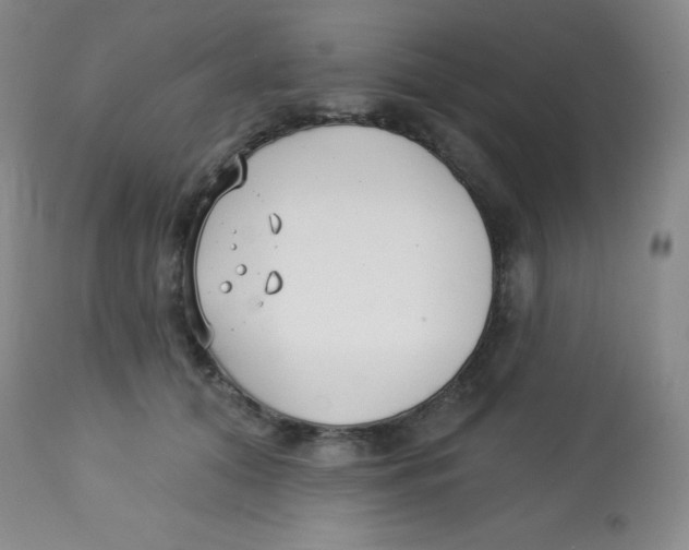 X0000113740608200910211126