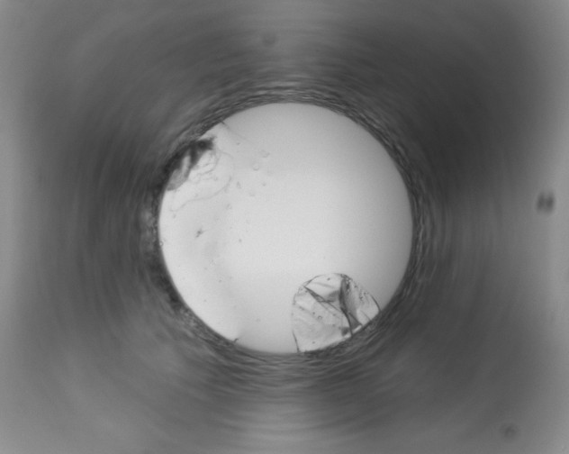 X0000113740609200910211126