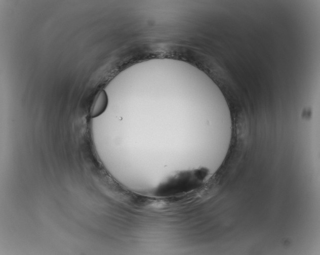 X0000113740611200910211126