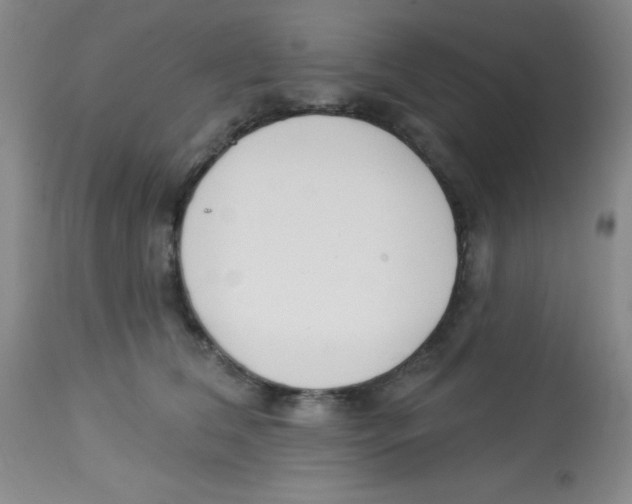X0000113740612200910211126