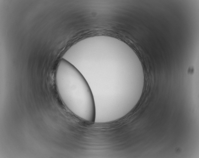 X0000113740613200910211126