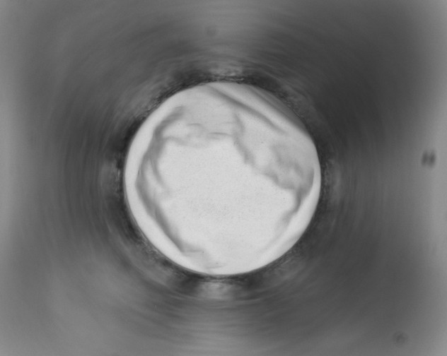 X0000113740614200910211126