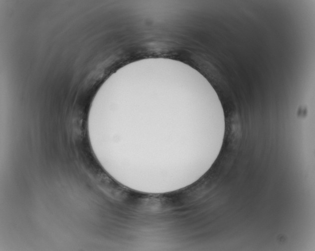 X0000113740615200910211126