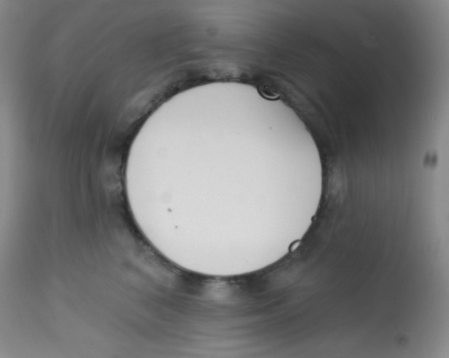 X0000113740616200910211126