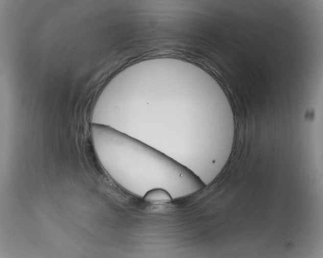 X0000113740617200910211126