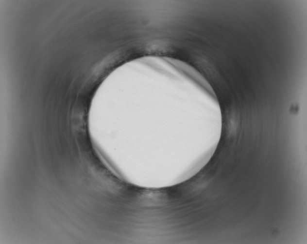 X0000113740619200910211126