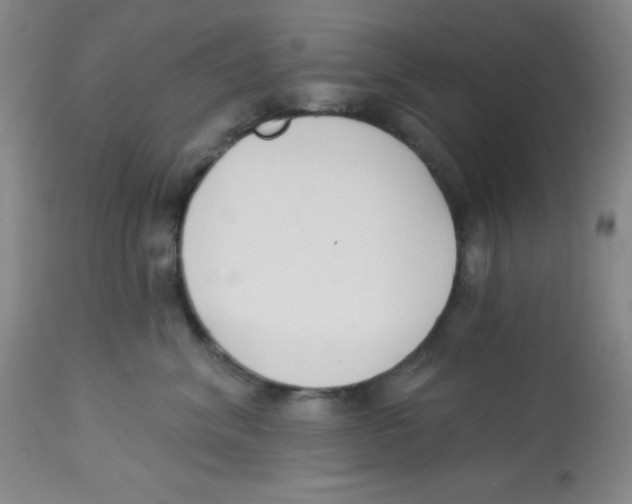 X0000113740620200910211126