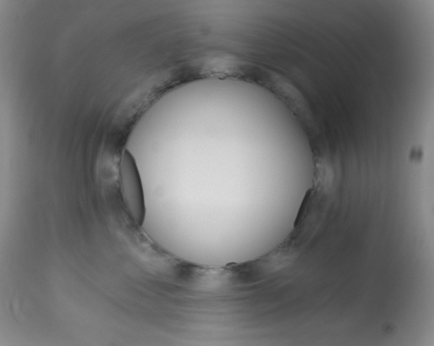 X0000113740621200910211126